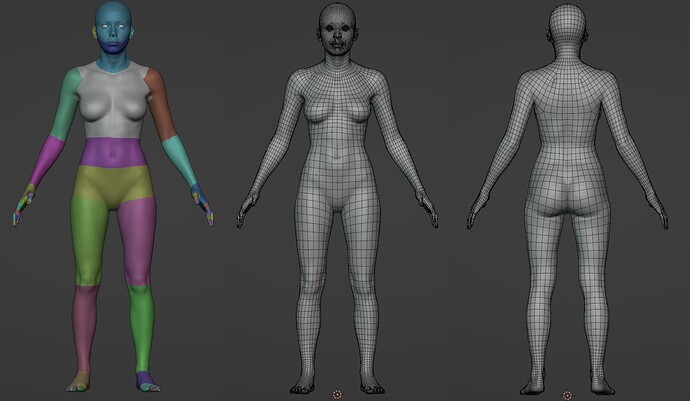 female_basemesh_wf_v001