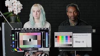 Arri REVEAL skin tone