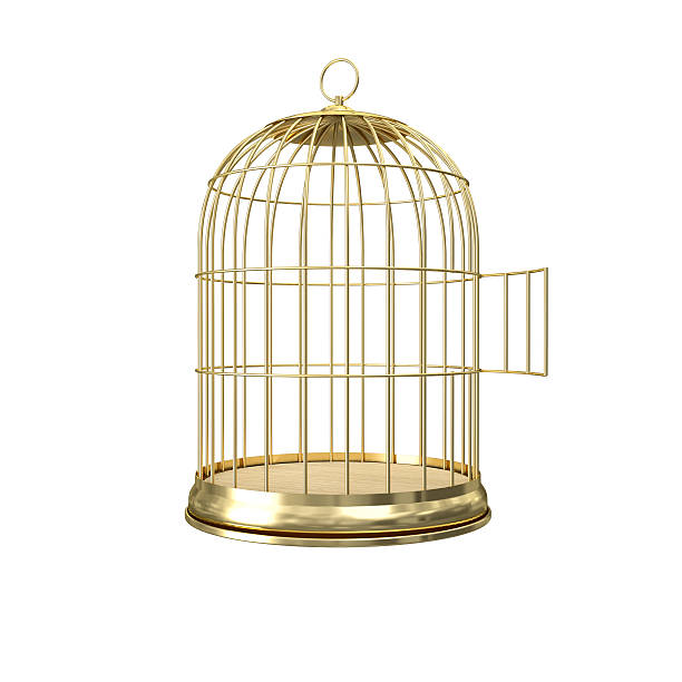 empty_parrot_cage