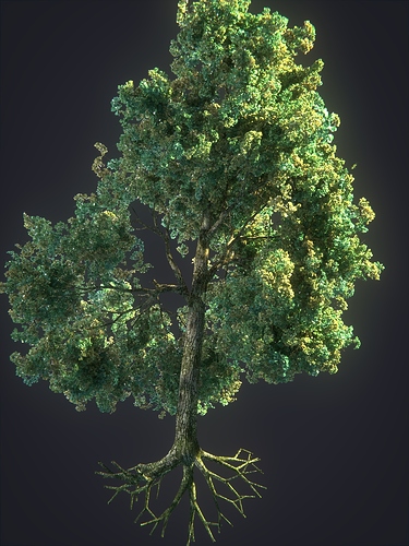 What's the best way to create high quality trees? - Art Design Support -  Developer Forum
